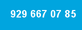 929 667 07 85